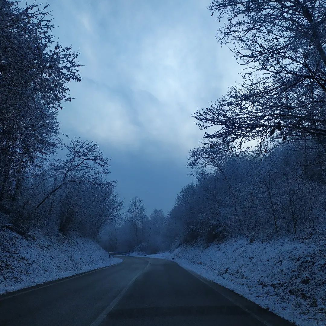 Oggi sì, che mi sembra febbraio
#goodmorning #february #nofilter #onmyway #nature #picoftheday #goingtowork #thecoldneverbotheredmeanyway